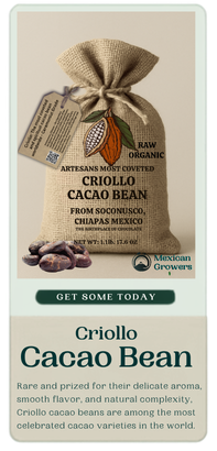 Criollo Cacao Bean product card with full package image, description, and Get Some Today button
