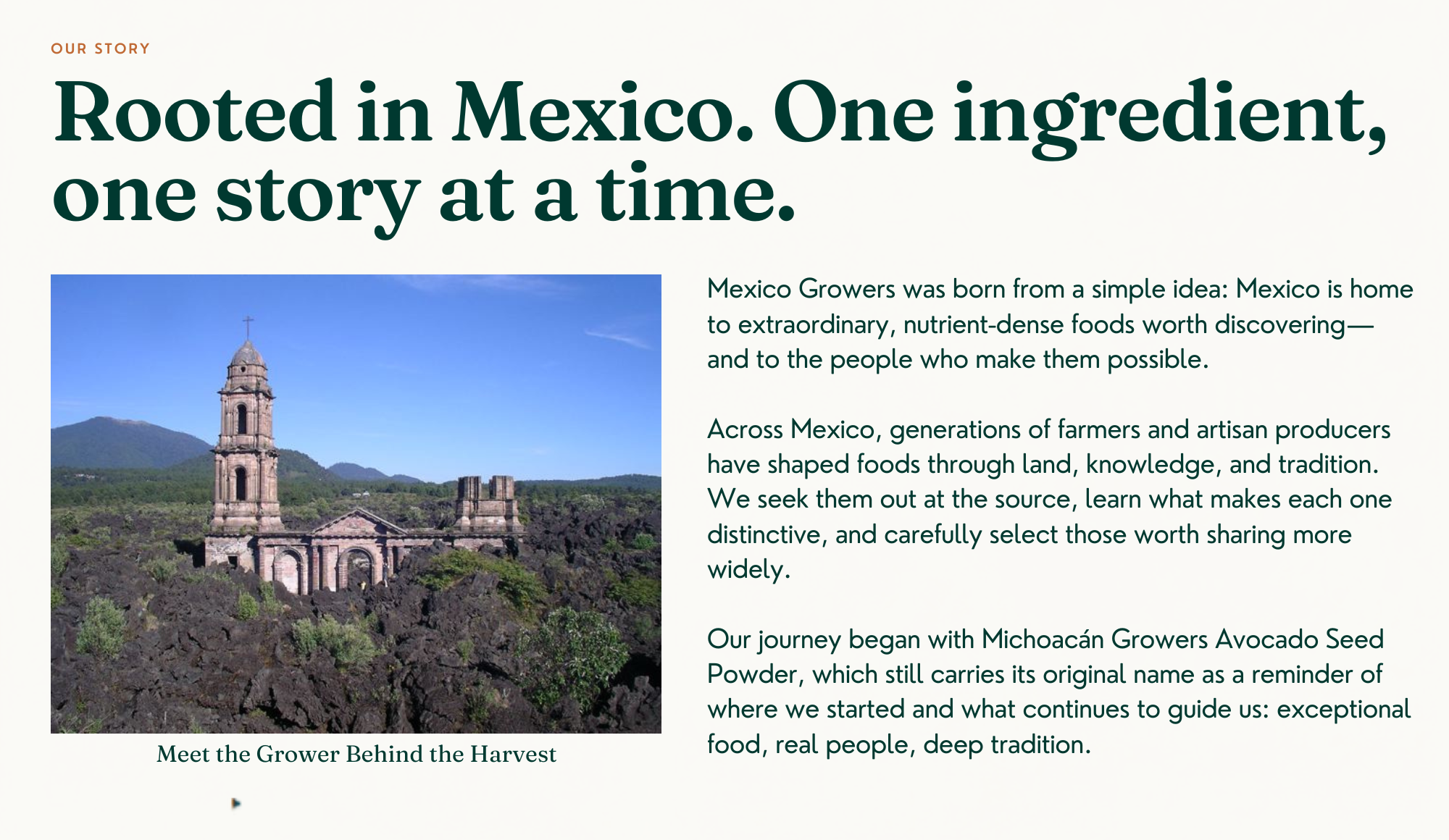 Our Story: Rooted in Mexico. One ingredient, one story at a time.